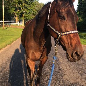 Meet your Posher, Bryn